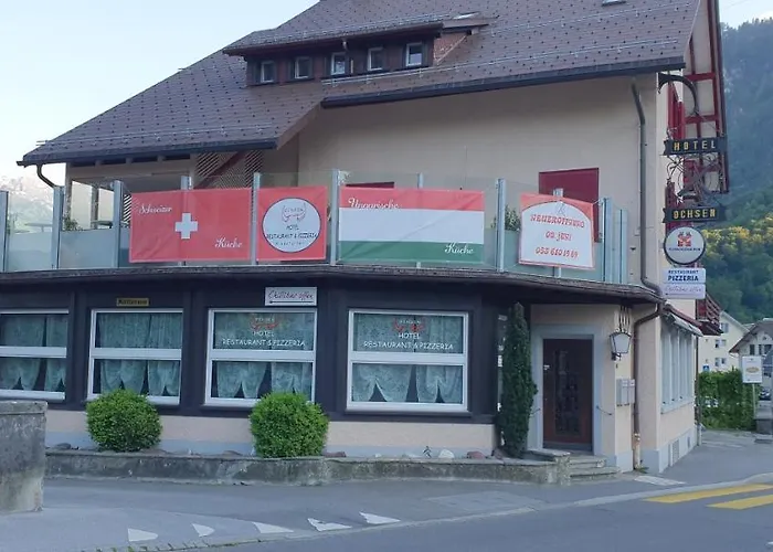 Ochsen